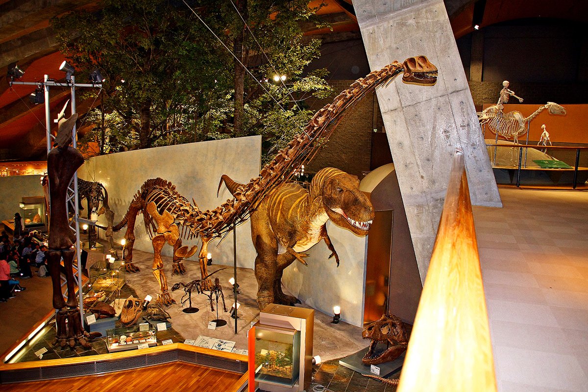 🏛️ 군마 현립 자연사박물관 (군마켄리츠시젠시하쿠부츠칸) 이미지 4